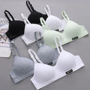 Kit com 5 Sutias Top Girl 2026 Efeito Silicone Levanta Os Caidinhos